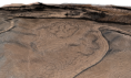 /album/aerial-mapping/h12-textured-model-png/